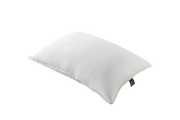 Aloevera Pillow